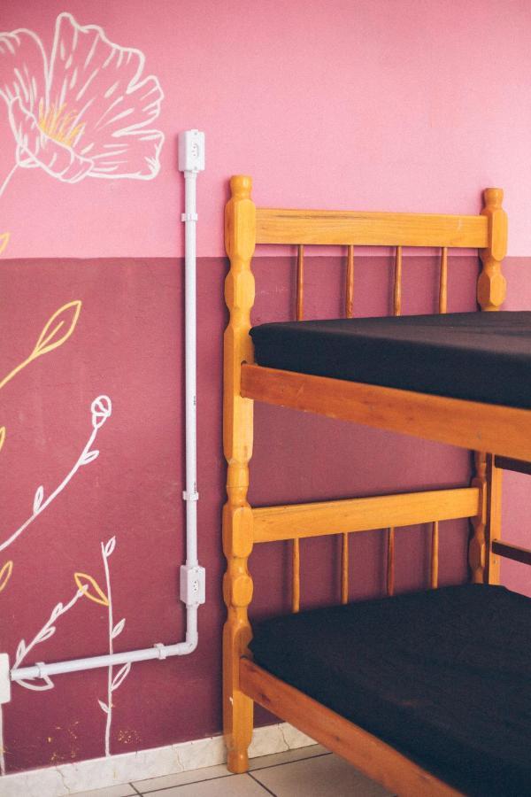 Hostel World - Canasvieiras *